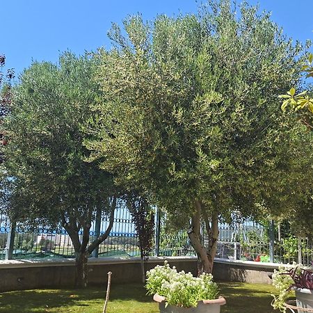 Villa Luiss Panorama Dıraç Dış mekan fotoğraf