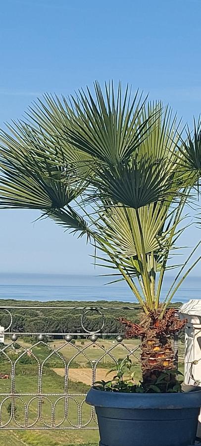 Villa Luiss Panorama Dıraç Dış mekan fotoğraf